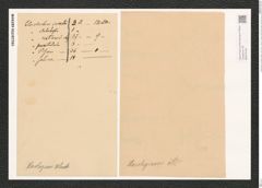 Campylodiscus horologium Williams. (de-Toni-Nr.: Genus 57, Species 2458) Zeichnungen Sammlung Grunow (NHMW-BOT-W0373160)